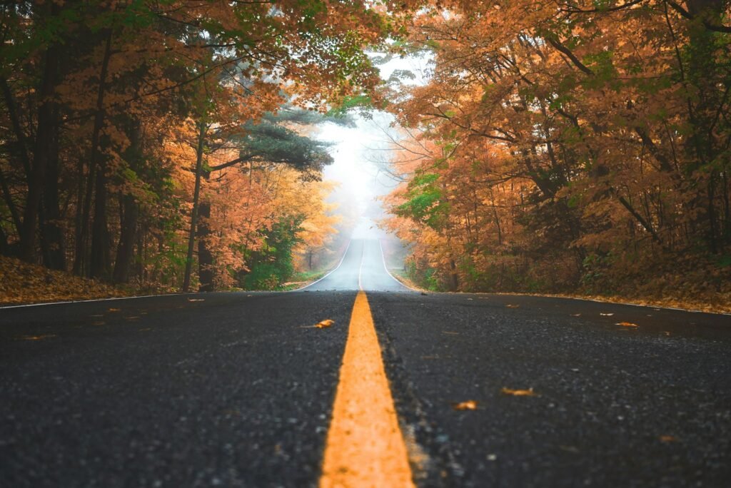 A winding road through a forest, symbolizing the journey of personal development for actors.