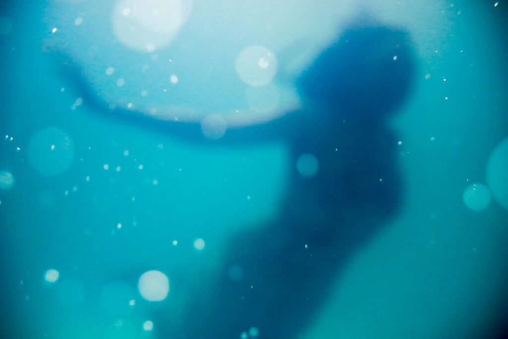 Silhouette of a mermaid at sunset, symbolizing transformation and magic at our mermaid retreats.