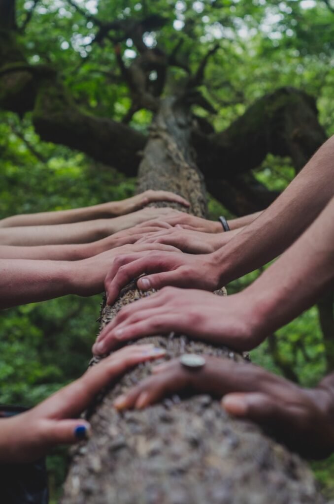 Actor’s hands resting on a log in a forest, symbolizing grounding and connection.