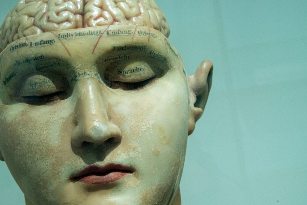 Statue with exposed brain, symbolizing the concept to open your mind.