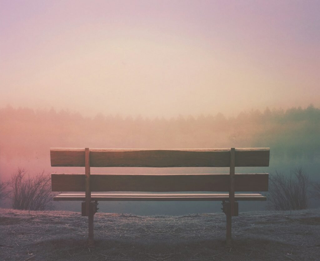 A quiet, empty bench surrounded by nature, bathed in soft light—offering a gentle symbol of rest for artists.